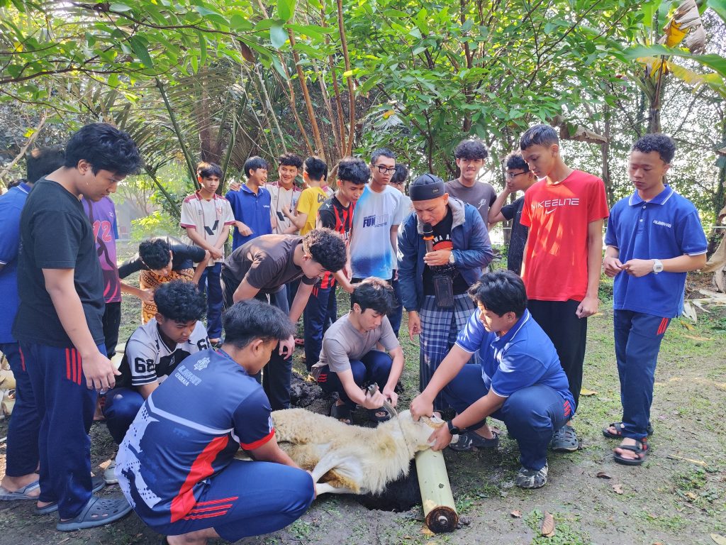 Kurban Idul Adha Alcend